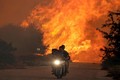 Hãi hùng cảnh cháy rừng dữ dội ở Hy Lạp