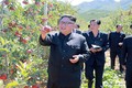 Lãnh đạo Kim Jong-un cười tươi thăm vườn táo trĩu quả