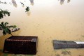 Hình ảnh ngập lụt nghiêm trọng ở Việt Nam trên báo Anh