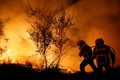 Hình ảnh cháy rừng khủng khiếp ở Tây Ban Nha-Bồ Đào Nha