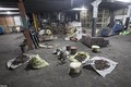 Lạnh người “kho” vũ khí của kẻ khủng bố đẫm máu Sri Lanka