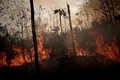 Cháy rừng Amazon: Brazil từ chối nhận viện trợ của G7