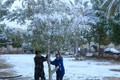 Kinh ngạc trận tuyết rơi cực hiếm phủ trắng thủ đô Iraq
