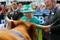 Nữ hoàng Anh Elizabeth II và tình yêu đối với động vật