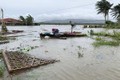 Bão Molave quét qua Philippines, làng mạc chìm trong biển nước