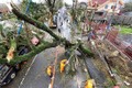 Siêu bão Goni tại Philippines: 31 triệu người bị ảnh hưởng