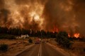 Khiếp sợ cảnh cháy rừng như “tận thế” ở Hy Lạp