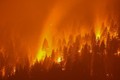 Ám ảnh cảnh tượng cháy rừng như "hỏa ngục" khắp thế giới