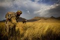 Cận cảnh cuộc sống người dân ở Afghanistan trong 20 năm qua