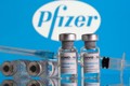 Pfizer xin cấp phép vắc xin cho trẻ 5-11 tuổi: Sự thật hiệu quả sao?