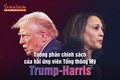 [INFOGRAPHIC] Tương phản chính sách của hai ứng viên Tổng thống Mỹ Trump-Harris