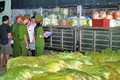 Rau cải Trung Quốc nhiễm độc thuốc sâu gấp 8 lần