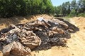 Phát hiện 100 tấn chất thải của Formosa chôn ở Hà Tĩnh