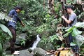 Chó nghiệp vụ truy tìm nghi can giết 4 người ở Lào Cai
