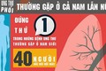 Bệnh Minh Thuận mắc khiến 17.000 người Việt chết mỗi năm