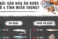 Infographic: Hải sản nào ăn được ở 4 tỉnh miền Trung?