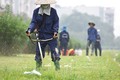 Mục kích công nhân cắt cỏ mọc um tùm giữa thủ đô
