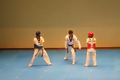 Màn thi đấu Taekwondo “bá đạo” nhất thế giới