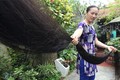 Chiêm ngưỡng mái tóc dài nhất Việt Nam đen óng mượt mà 