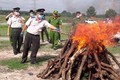 Tiêu hủy ma túy "khủng" trong chuyên án lớn nhất Bình Dương