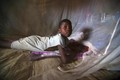 Hình ảnh đẹp về cuộc chiến chống sốt rét toàn cầu