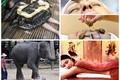 10 kiểu massage độc nhất vô nhị trên thế giới
