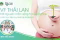 Tư vấn vô sinh miễn phí với BS Thái Lan tại BV Hồng Ngọc