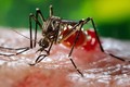 Bác thông tin 4 người ở Khánh Hòa nhiễm virus Zika