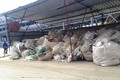 Cận cảnh rác chất đống, cá chết trong Formosa