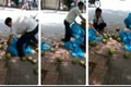 Thực hư "tắm" hóa chất cho dừa xiêm trên phố Hà Nội