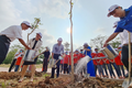 Toyota Việt Nam ươm mầm cây xanh tại không gian trường học