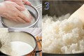 Nấu cơm đừng chỉ cho nước vào gạo, thêm thứ nguyên liệu này cơm