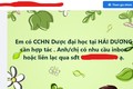 Cho thuê chứng chỉ hành nghề y dược, mức xử phạt thế nào?