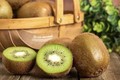 Kiwi xanh, đỏ, vàng, loại nào giá trị dinh dưỡng cao và ngon hơn?