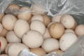 Nhớ đừng bảo quản trứng trong tủ lạnh, làm theo 2 tuyệt chiêu này