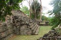 Các nhà nghiên cứu phát hiện nguyên nhân xóa sổ nền văn minh Maya