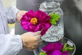 Trung Quốc thành công chế tạo kim cương từ... hoa