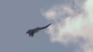 “Đặt lên bàn cân” chiến đấu cơ F-35 Mỹ và Su-35 Nga