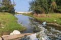 Hàng loạt hồ nuôi tôm ở Quảng Bình xả thải tàn phá môi trường