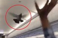 Video: Náo loạn vì chim bồ câu “đột nhập” khoang hành khách trên máy bay