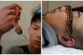 Thanh niên sống chung với hơn 20 con rắn độc 