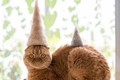 Ngắm ba chú mèo đội mũ làm bằng lông của chính mình