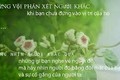 Bị mỉa mai mua nhẫn cưới rẻ tiền, cô gái đáp trả khiến nhân viên cúi đầu xin lỗi