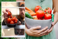 Có nên bảo quản cà chua trong tủ lạnh? Câu trả lời kinh ngạc