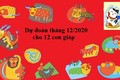 Dự đoán tháng 12/2020 cho 12 con giáp: Dậu đen chí mạng