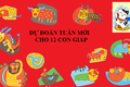 Dự đoán tuần mới 20/09 - 26/09/2021 cho 12 con giáp: Tý Tuất Hợi may ngút trời