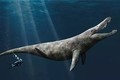 Bất ngờ phát hiện hoá thạch “quái vật biển kỷ Jura” khổng lồ