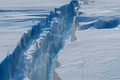 Thềm băng Nam Cực bất ngờ sụp đổ, thảm họa có xảy ra? 