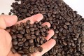 Phân biệt cà phê tự nhiên và cà phê tẩm hóa chất như thế nào?