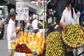 Giật mình con số khủng trái cây Trung Quốc đội lốt hàng Việt 